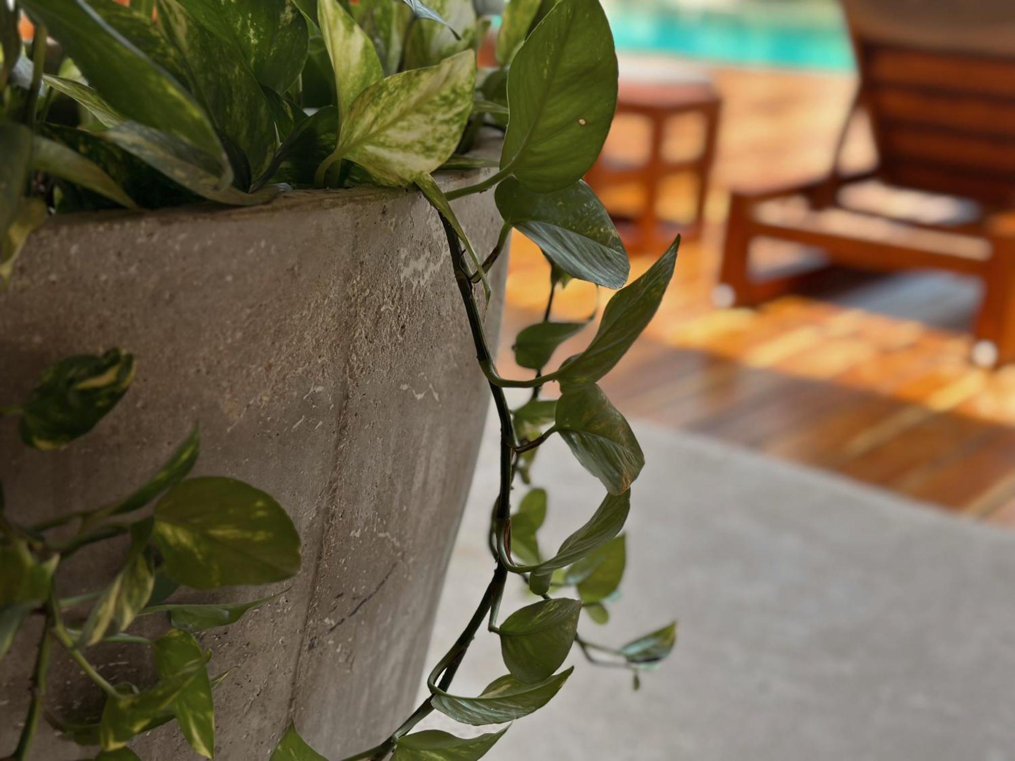Ophelia Tulum Condo In Aldea Zama Экстерьер фото